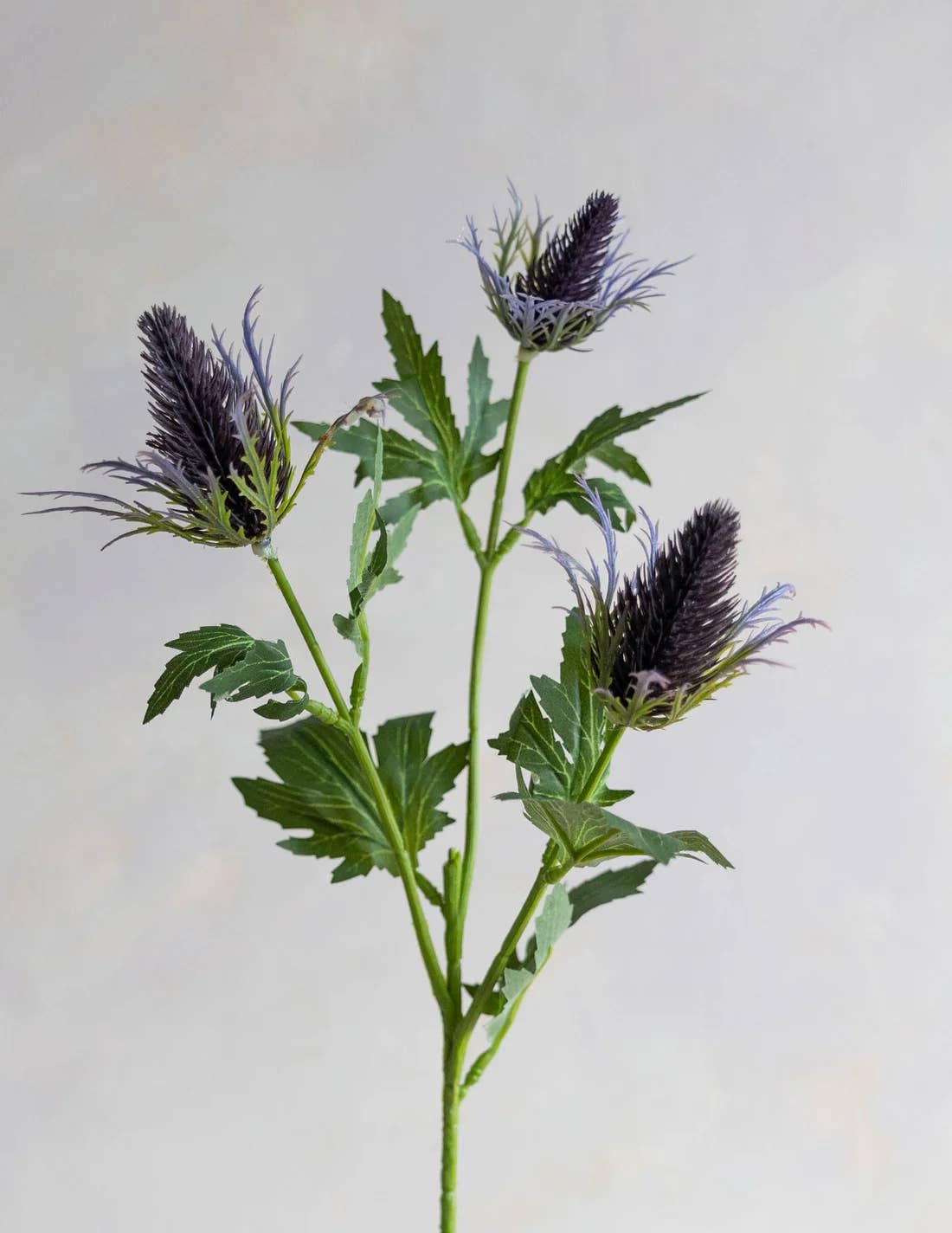 26" Artificial Real Size Sea Holly Thistle : Plum Green