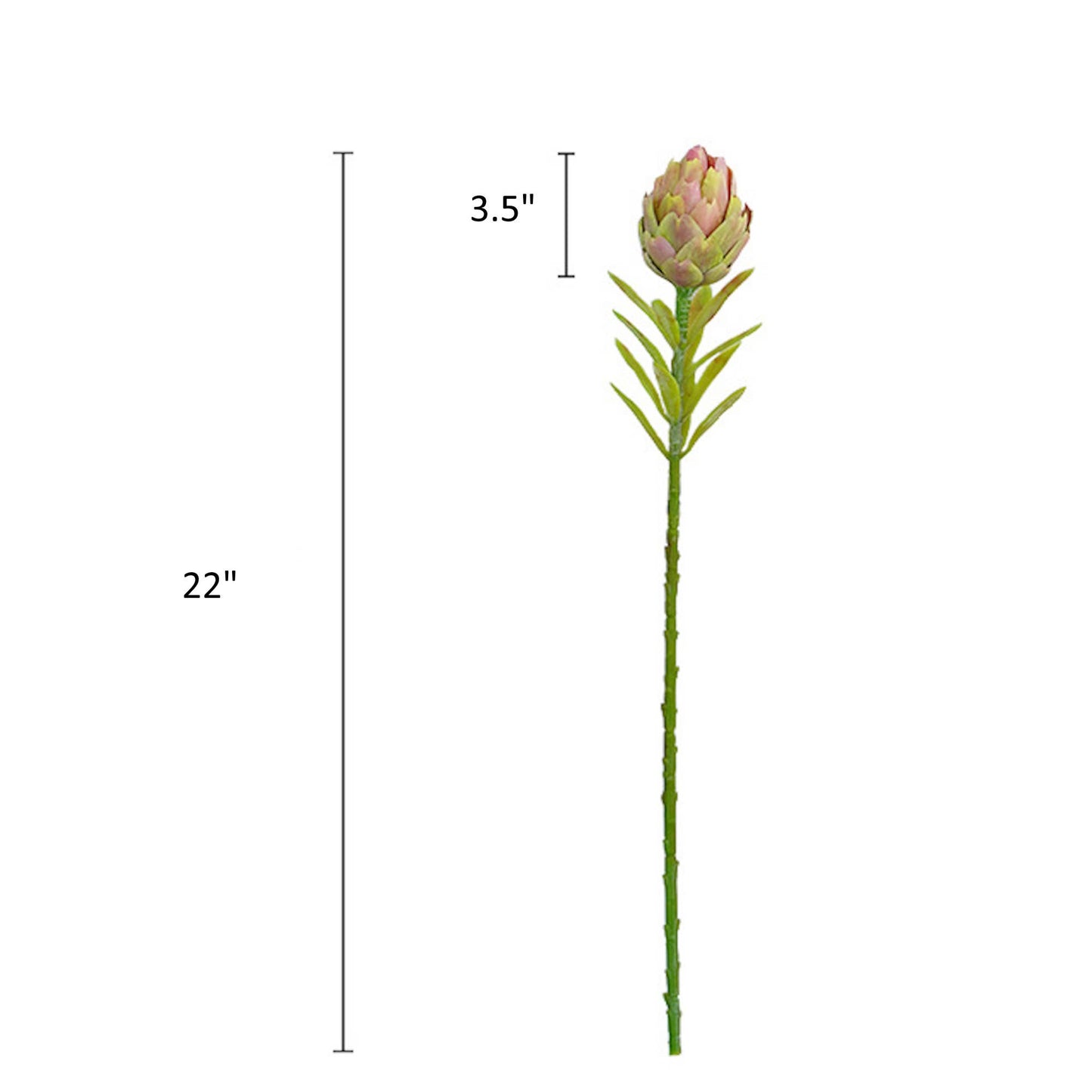 22"Artificial Artichoke Stem-3 colors: Green Blush