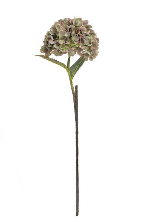 Long Stem Hydrangea, 31", Moss/Wine
