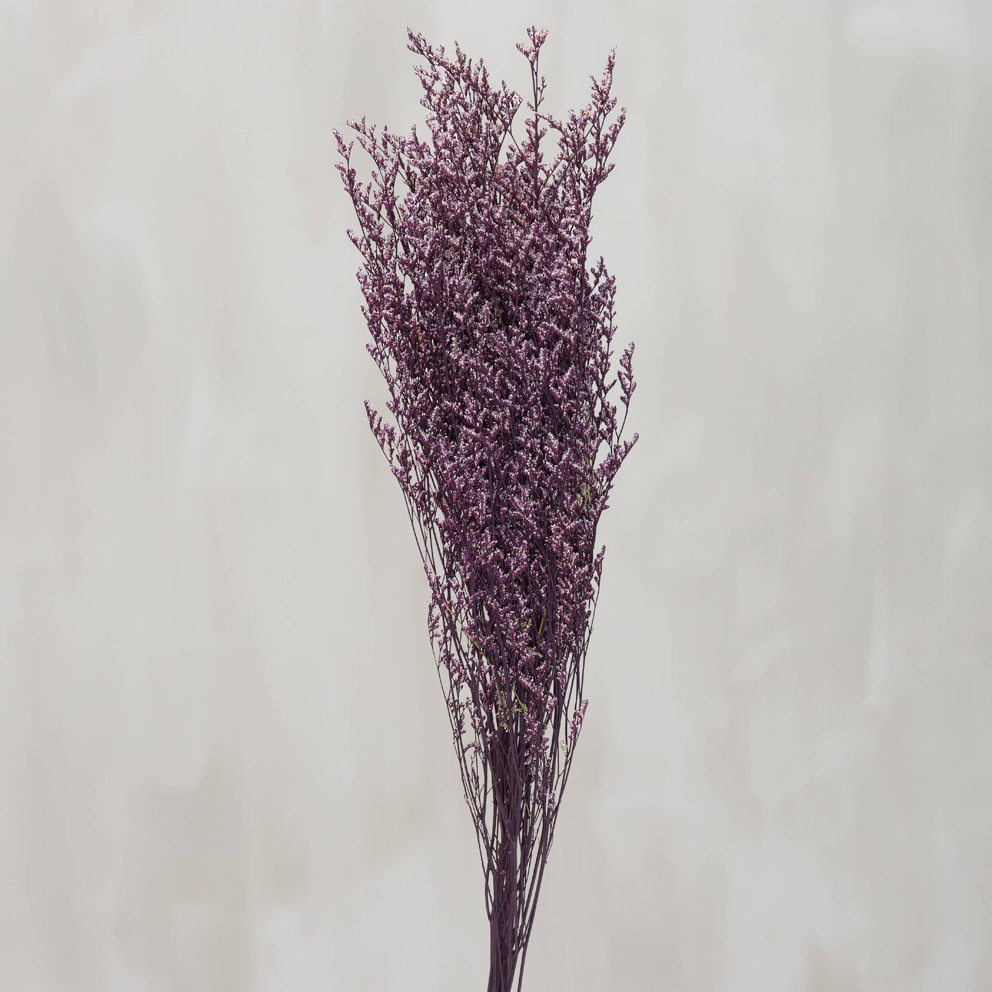 Purple Caspia Bouquet