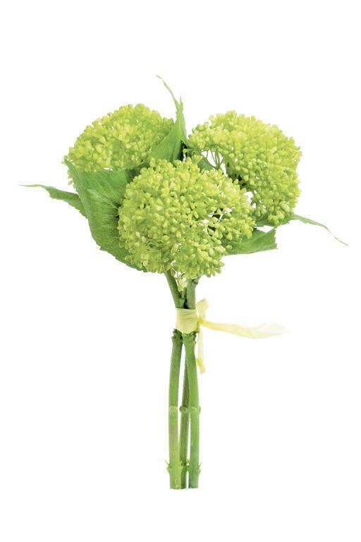Sedum Bundle, 11", Green