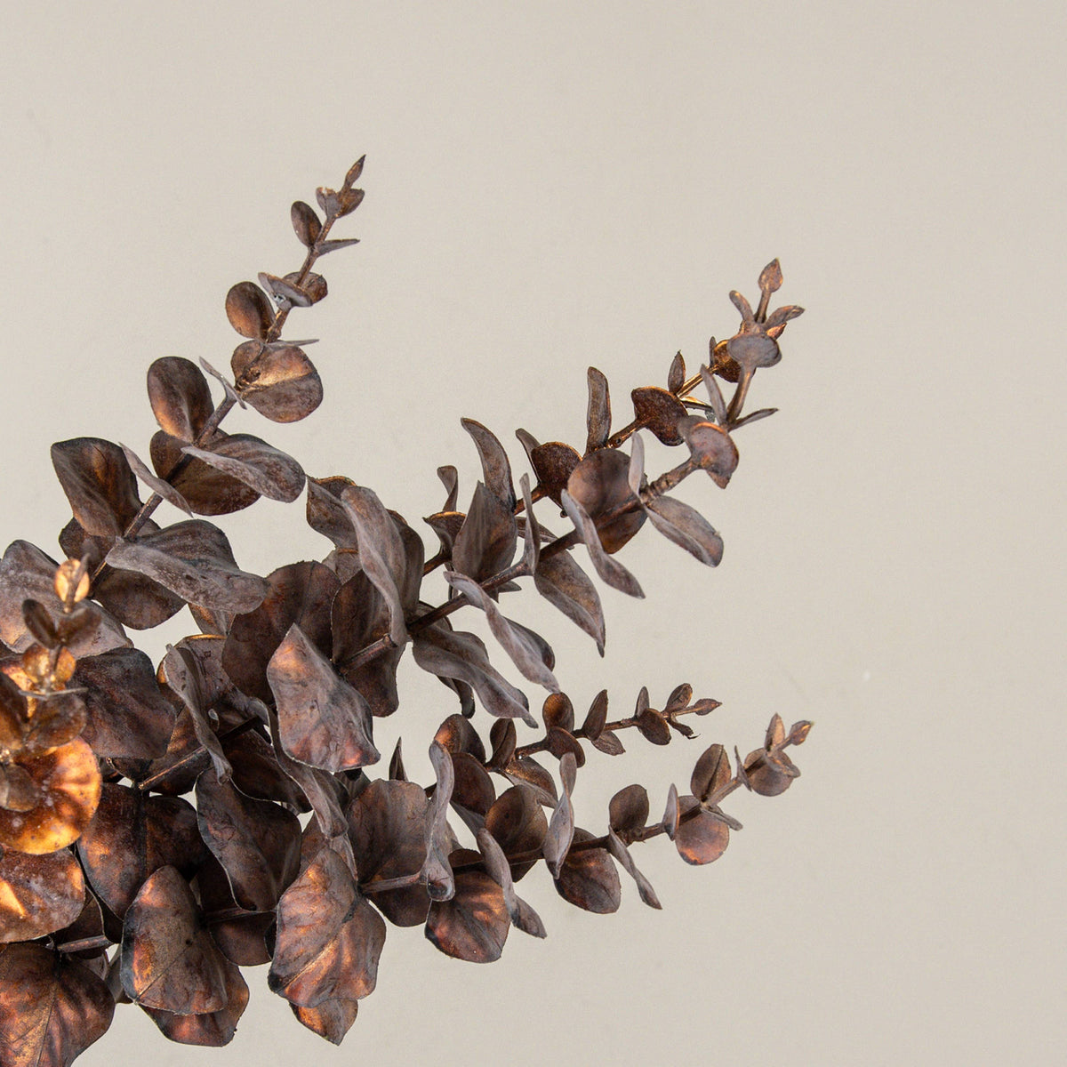 25" METALLIC COPPER EUCALYPTUS BUSH