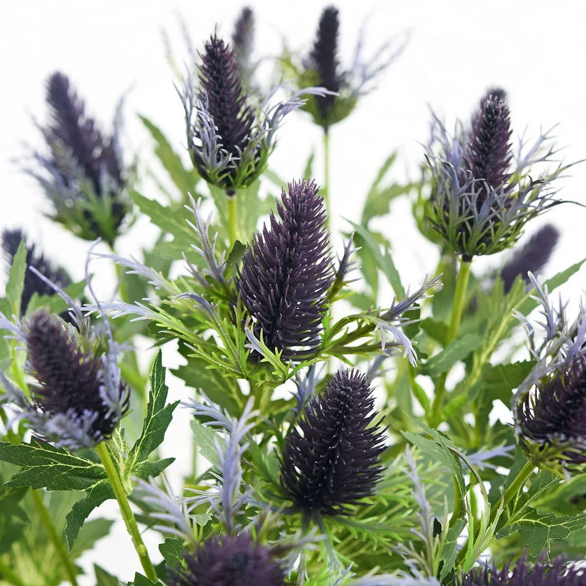 26" Artificial Real Size Sea Holly Thistle : Plum Green