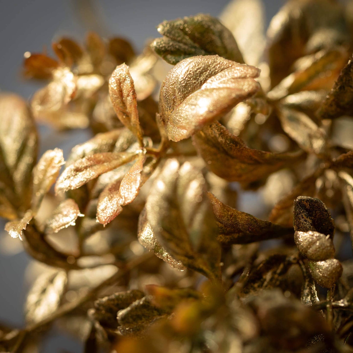 Gilded Gold Spray