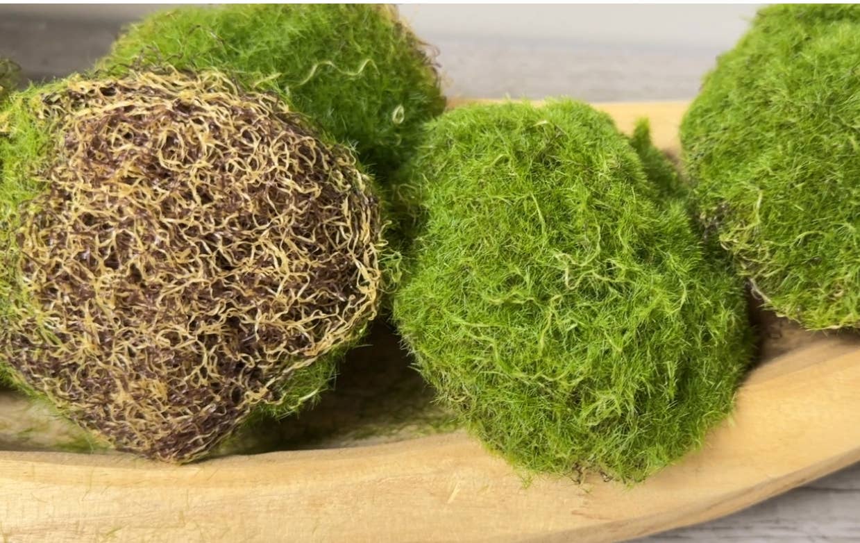 Pack of 6-Large Lifelike Mixed Sizes Artificial Moss Ball