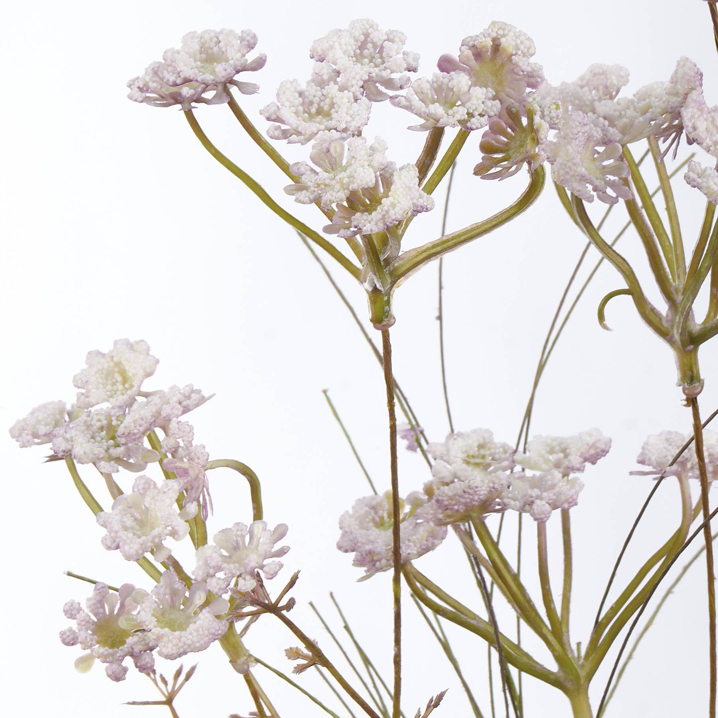 Snow In Summer Floral Pick