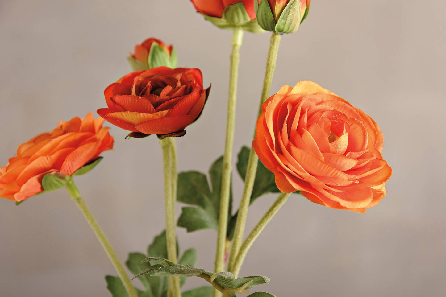 Orange Ranunculus Floral Pick