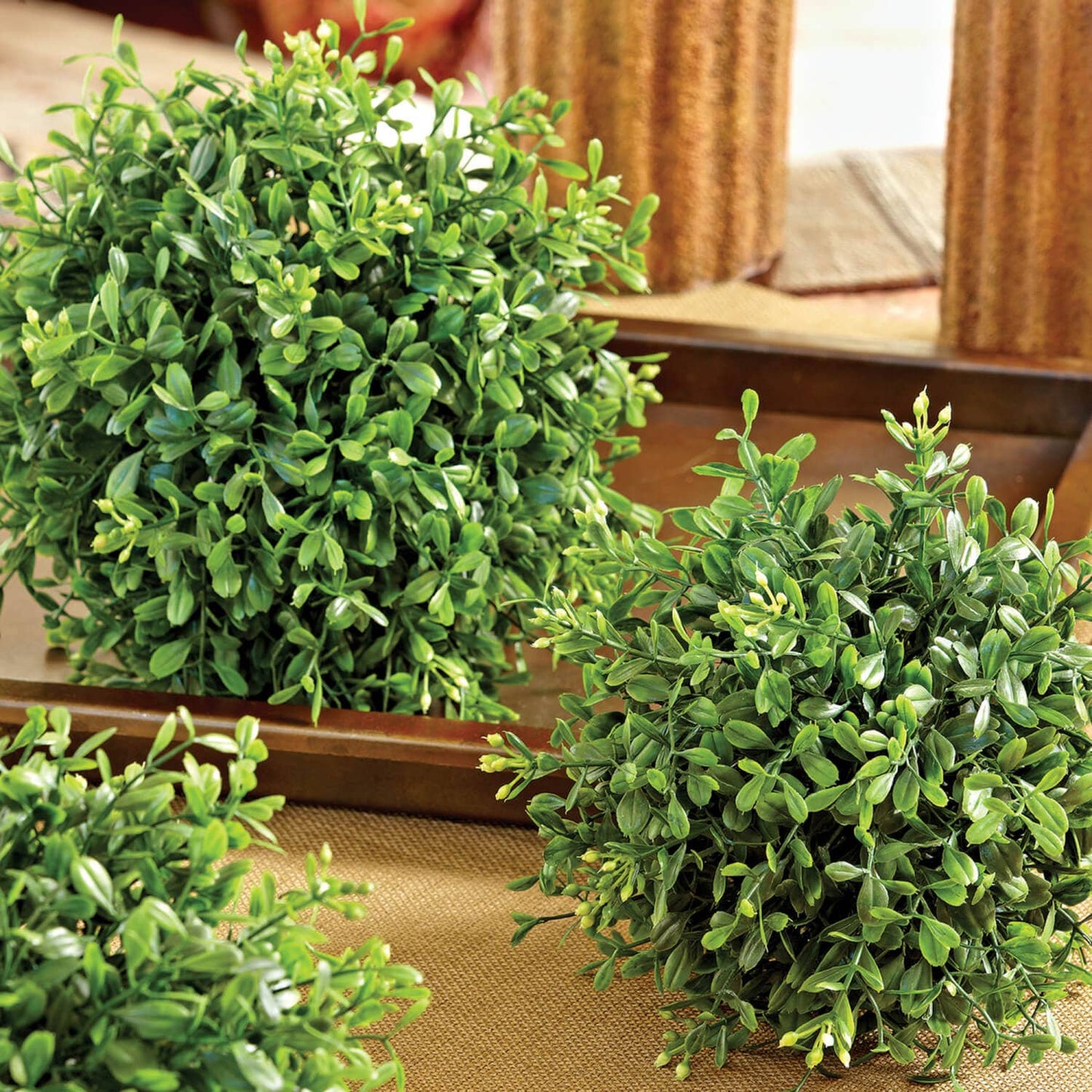 Boxwood Decorative Orb Set