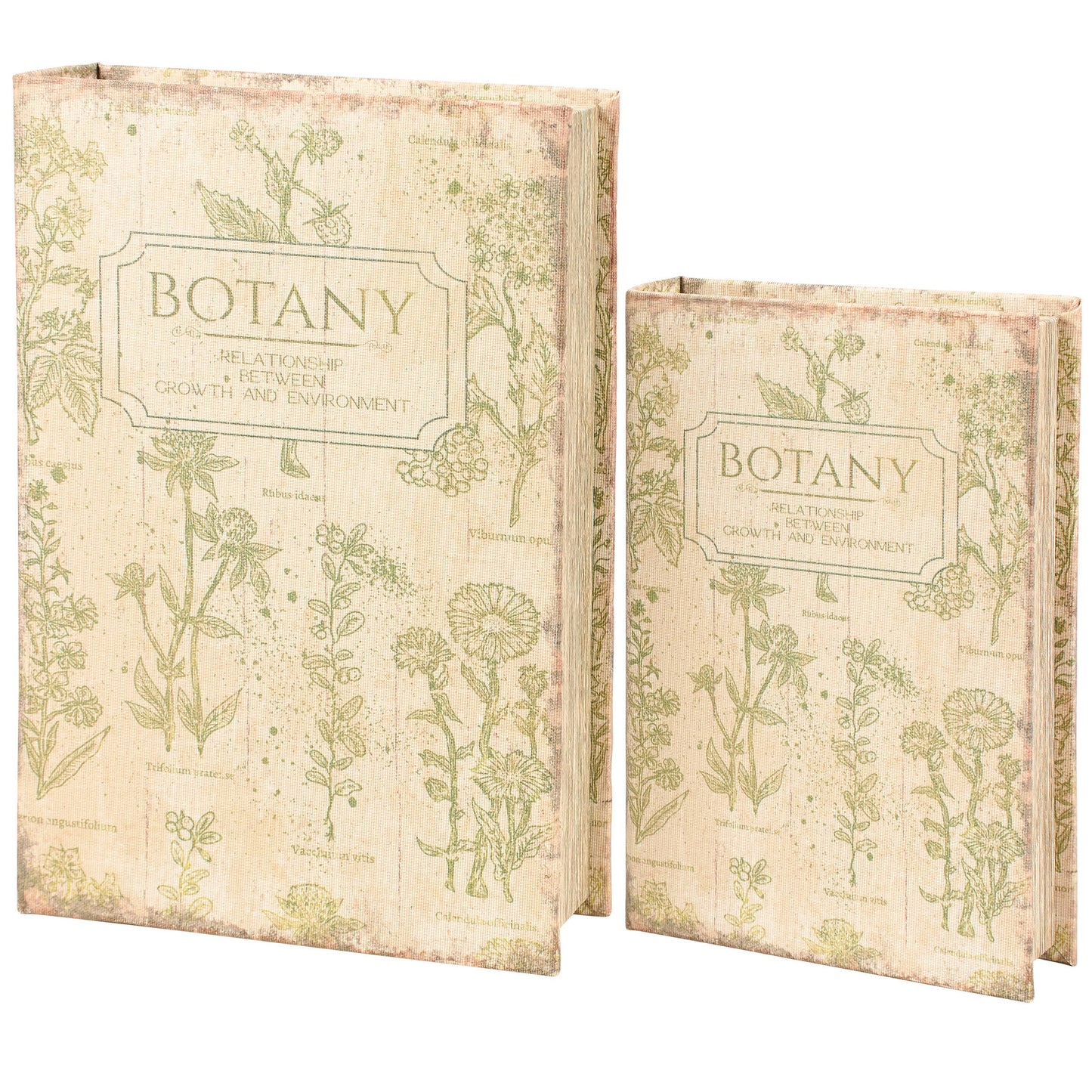 Botany Book Box Set