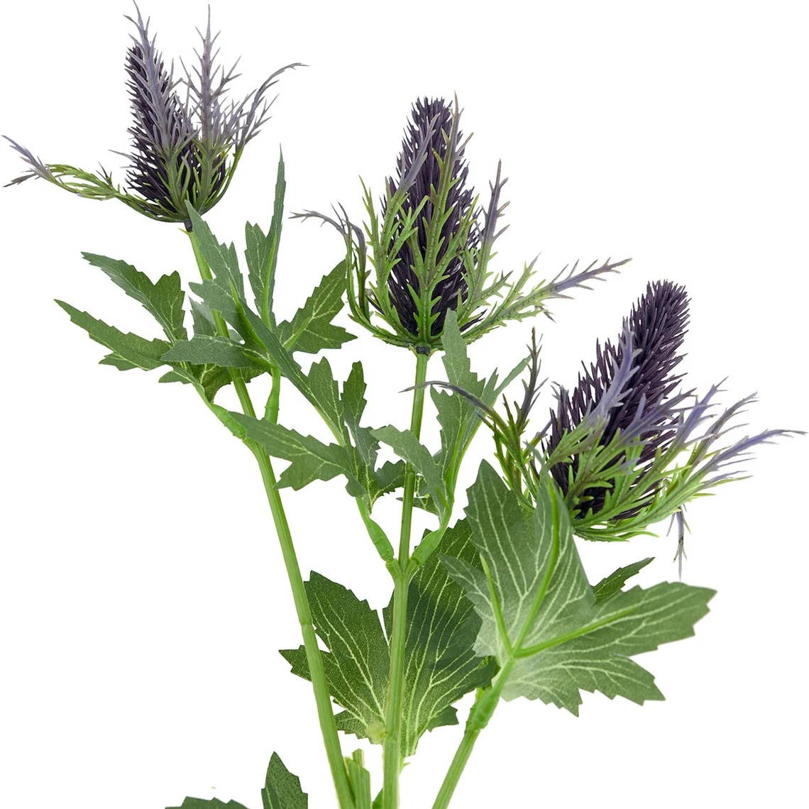 26" Artificial Real Size Sea Holly Thistle : Plum Green