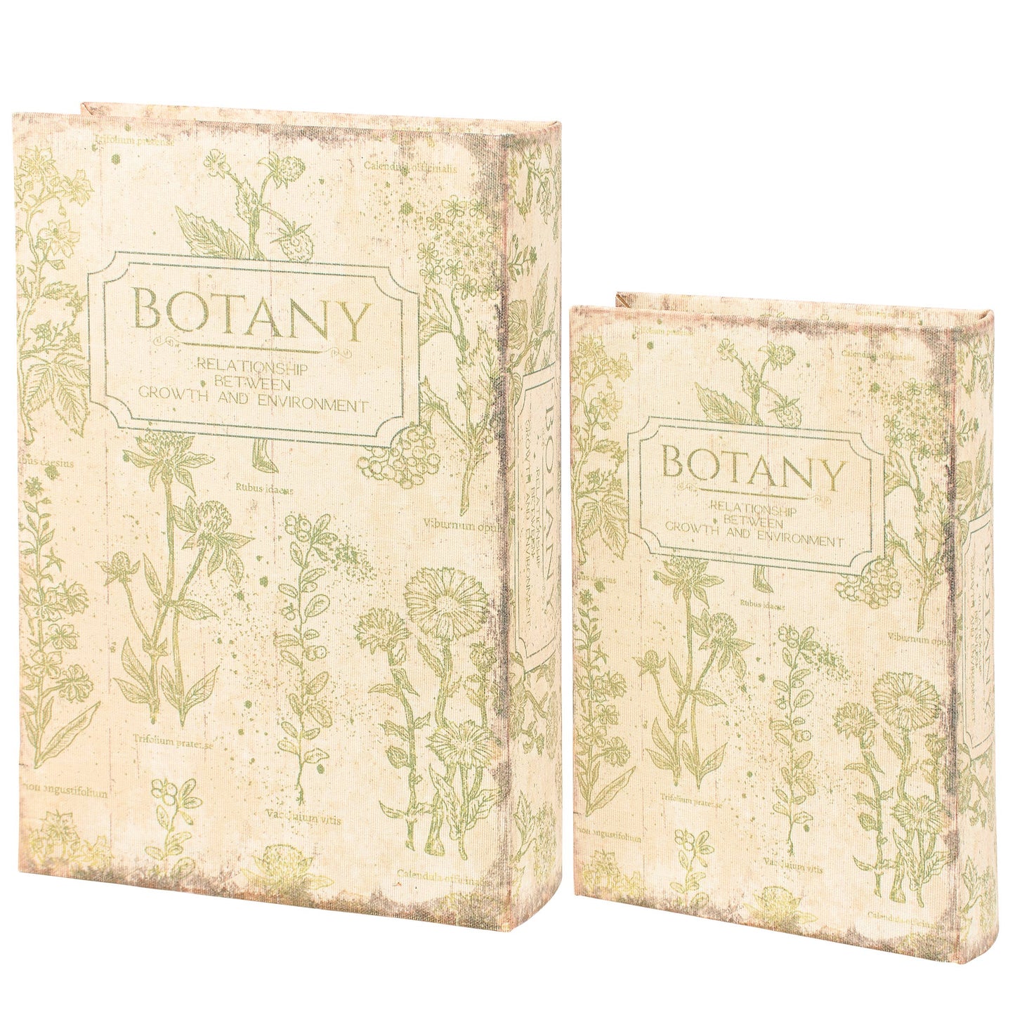 Botany Book Box Set