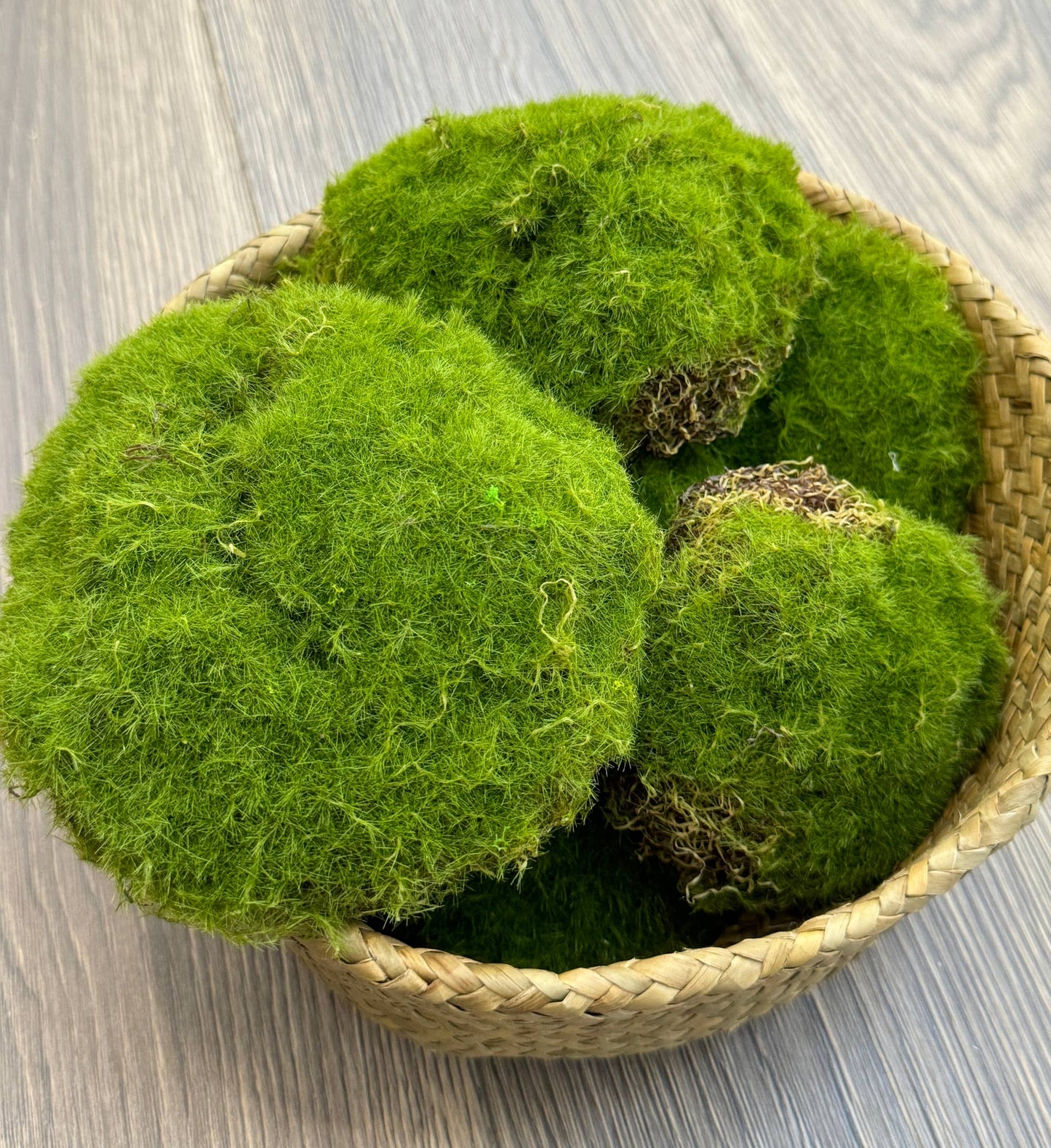 Pack of 6-Large Lifelike Mixed Sizes Artificial Moss Ball
