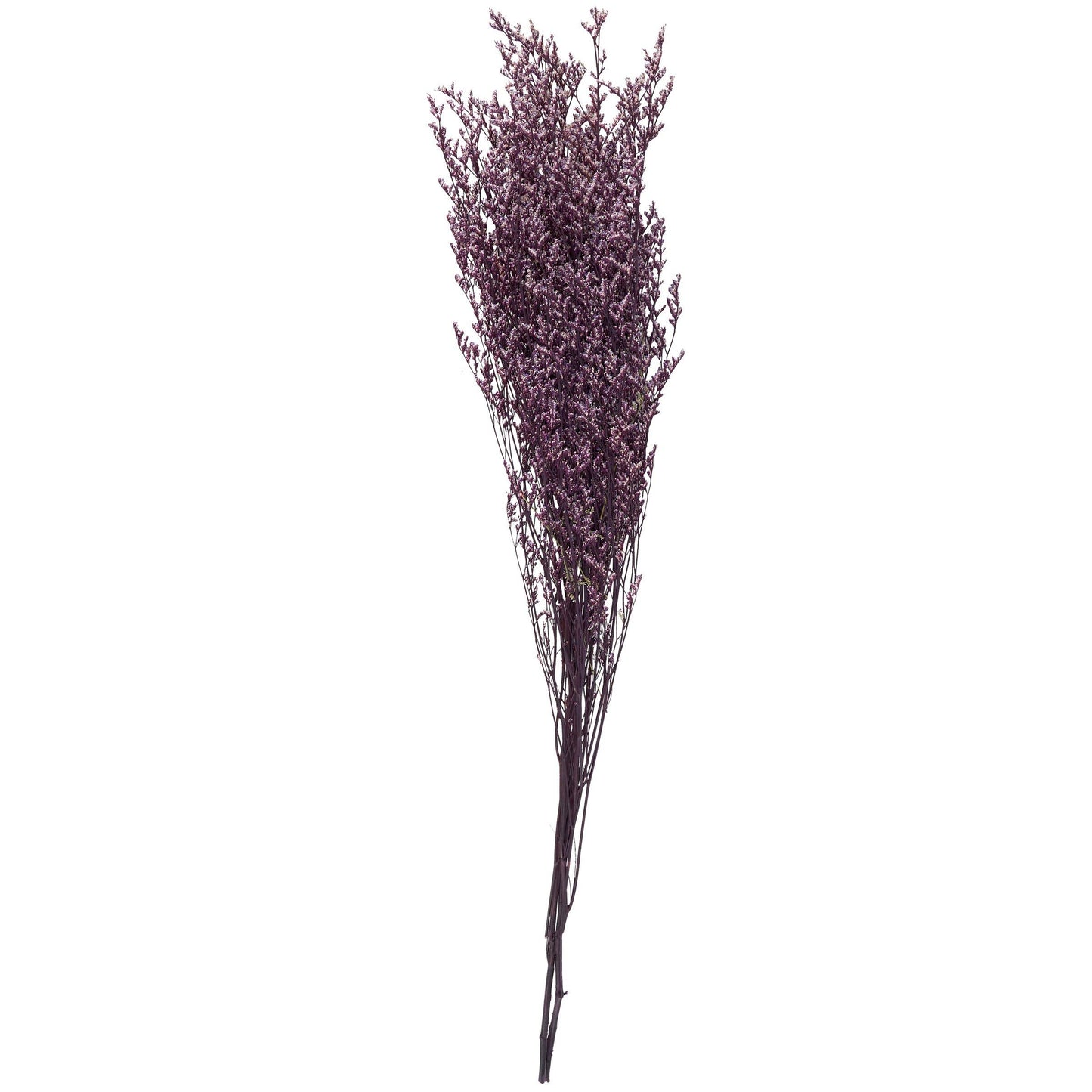 Purple Caspia Bouquet