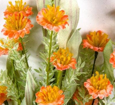 Wild Flower Bouquet With Foam Leaves - Peach Hue