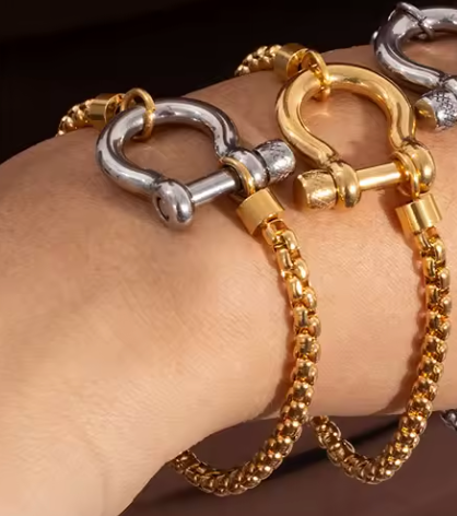 Horse Bit Carabiner Bracelet- Steel - Charm Bracelet 14K PVD: Silver