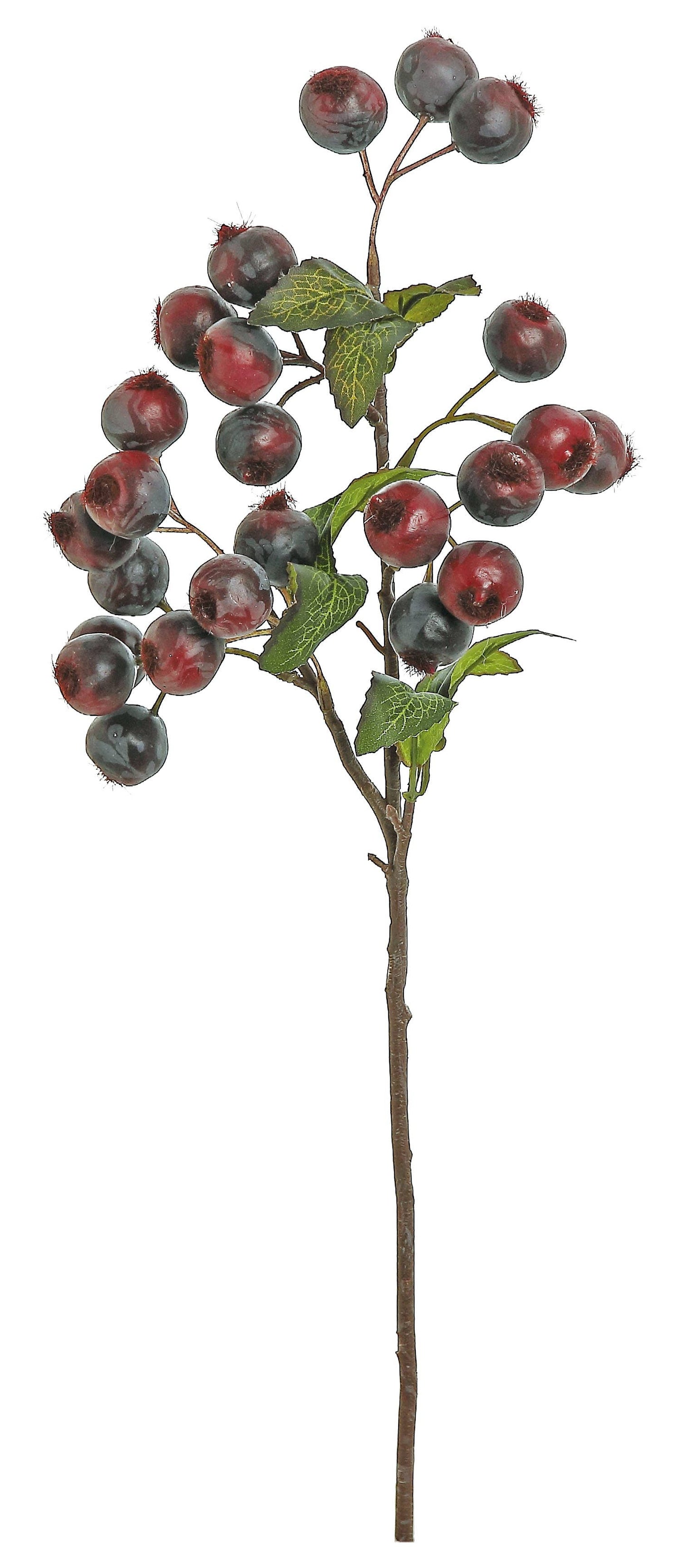 Plum Berry Spray, #B1492-BU