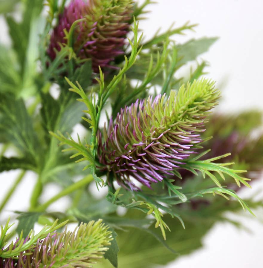 26" Artificial Real Size Sea Holly Thistle : Plum Green