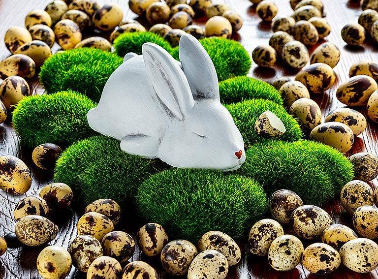Sleeping White Bunny-6"L
