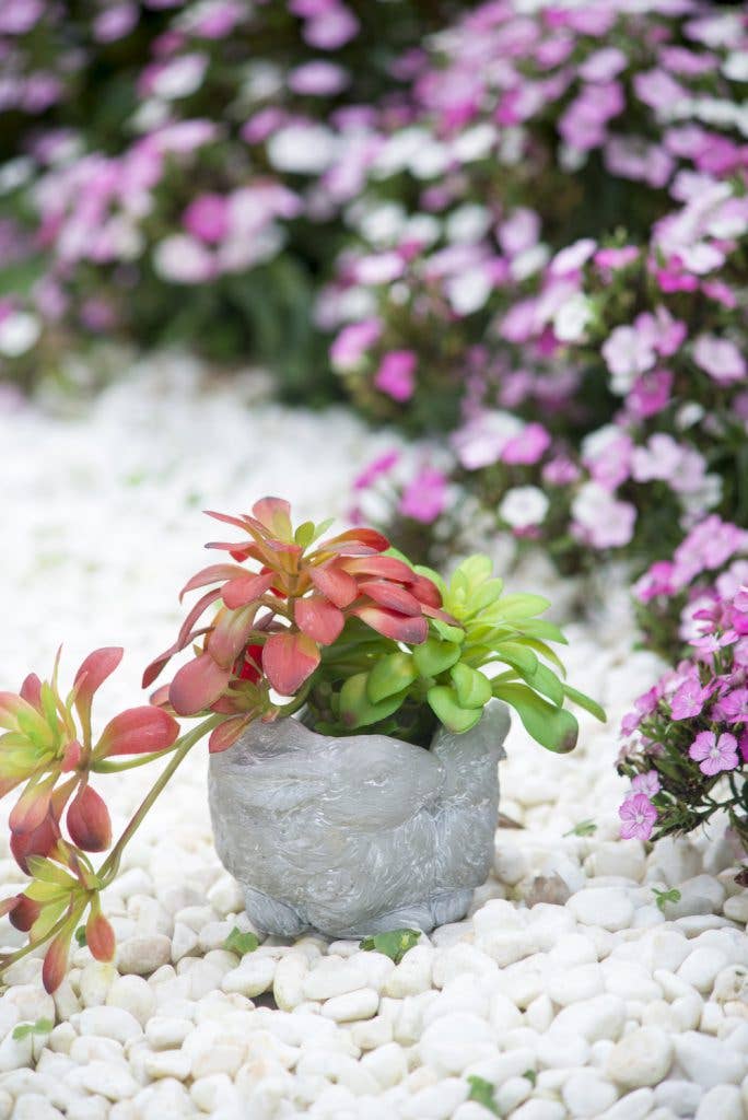 6.5x5x4.5" 2 Bunny Planter 2EA/CTN