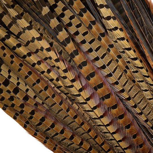 10 PC/PKG Ringneck Pheasant Tails 16-18" - Natural