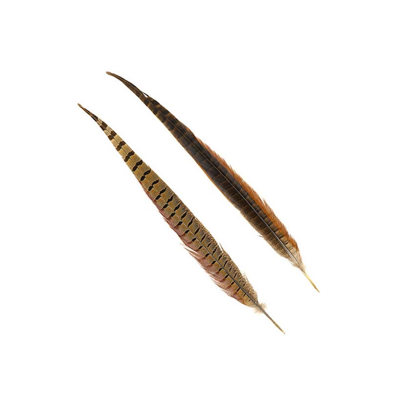 10 PC/PKG Ringneck Pheasant Tails 16-18" - Natural