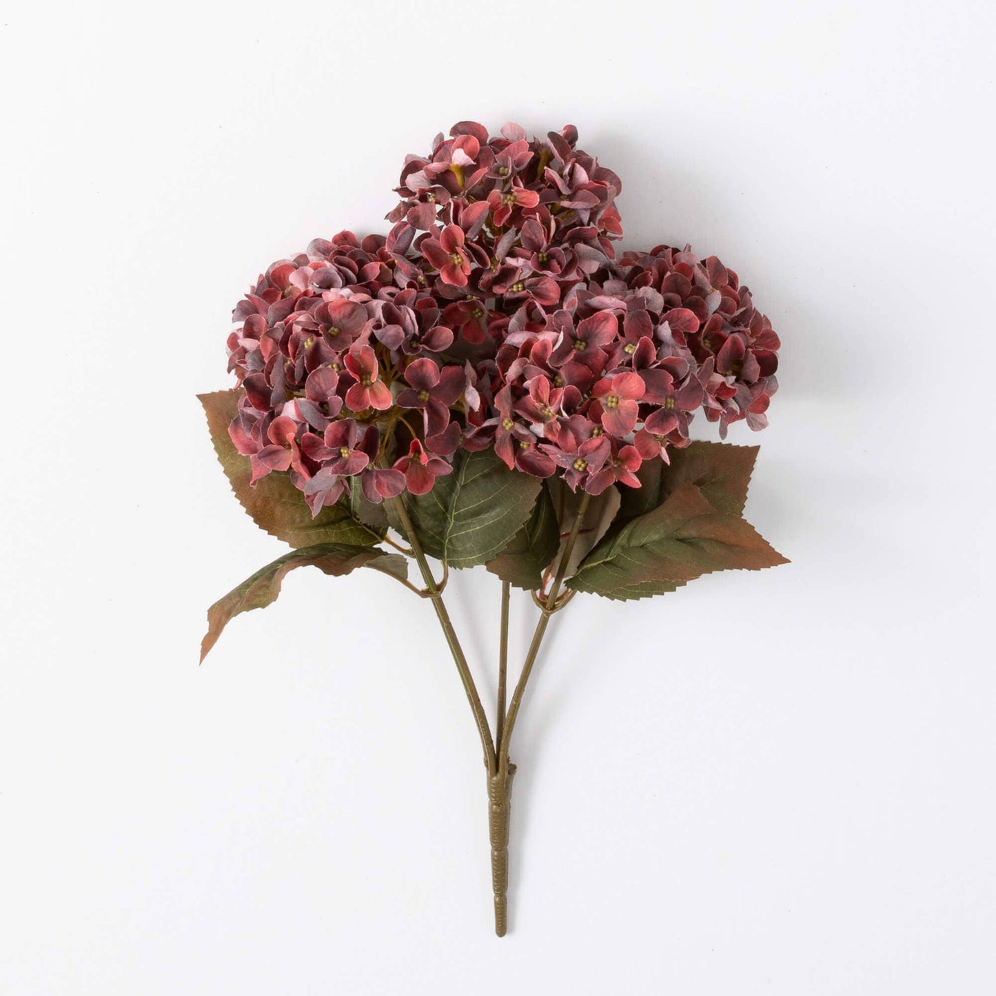 Hydrangea Bush