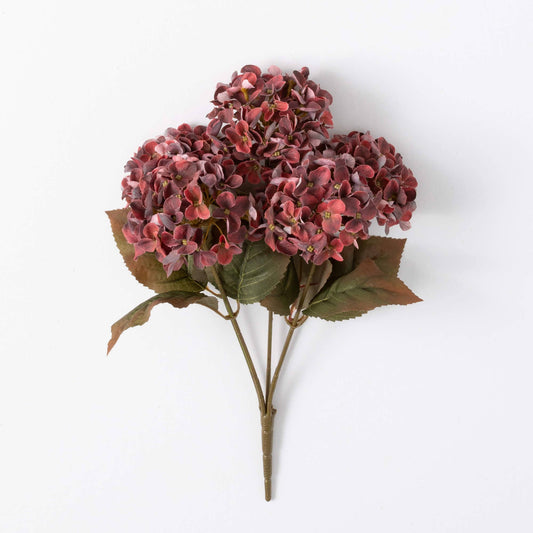 Hydrangea Bush