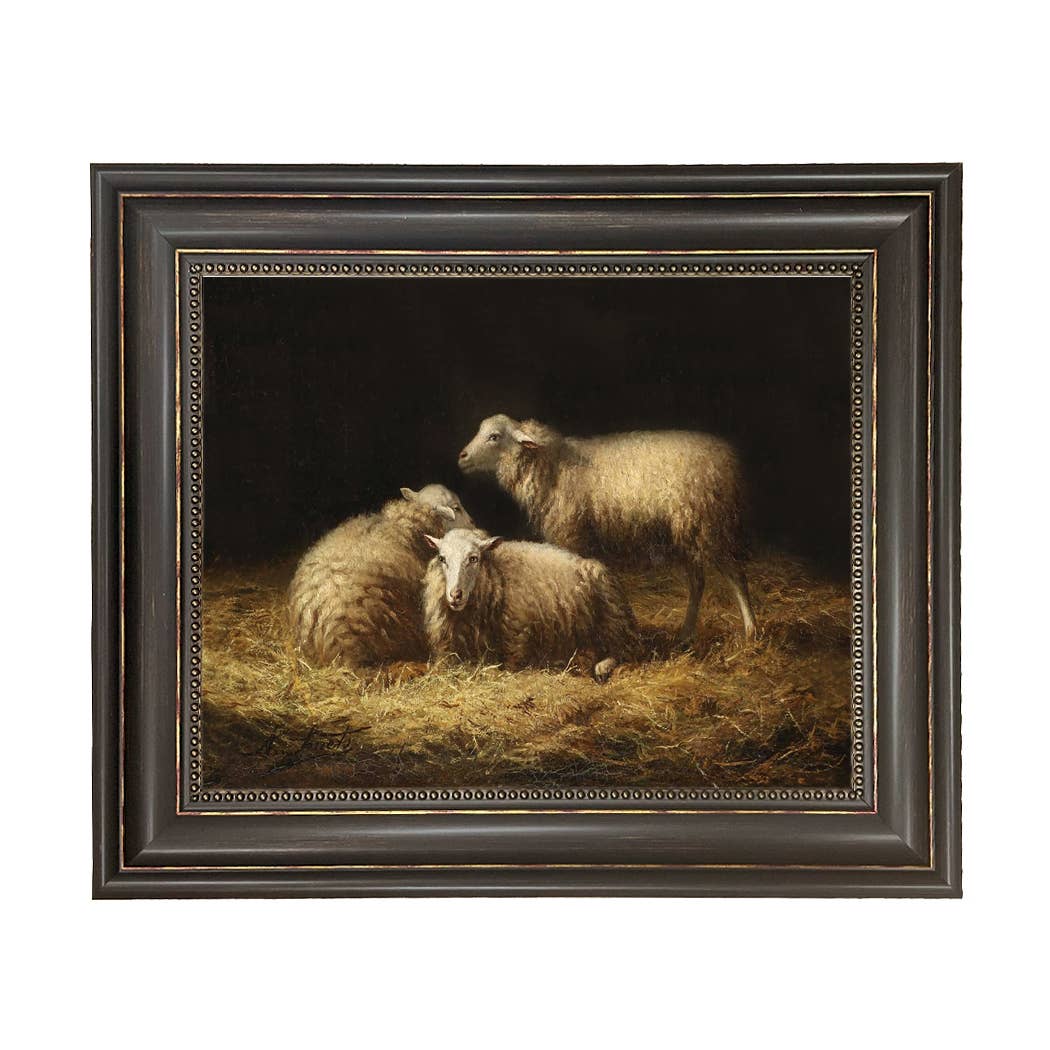 Sheep in the Hay Framed Painting Print on Canvas: Black Distressed / 5" x 6"
