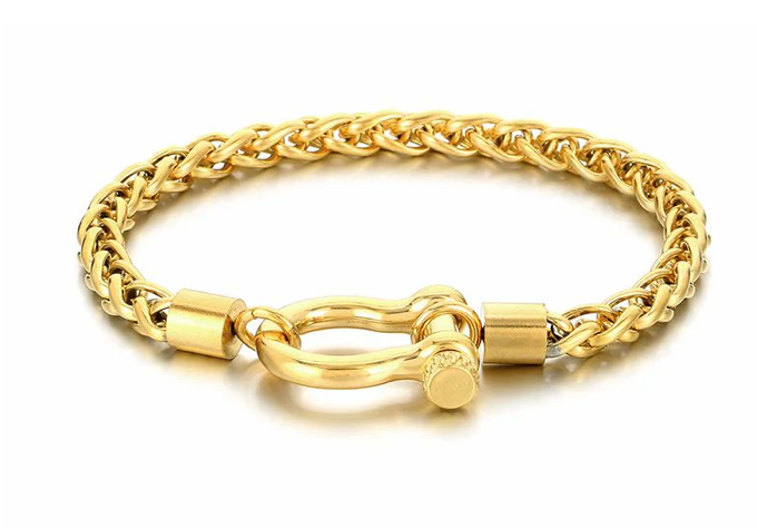 Horse Bit Carabiner Bracelet- Steel - Charm Bracelet 14K PVD: Yellow Gold