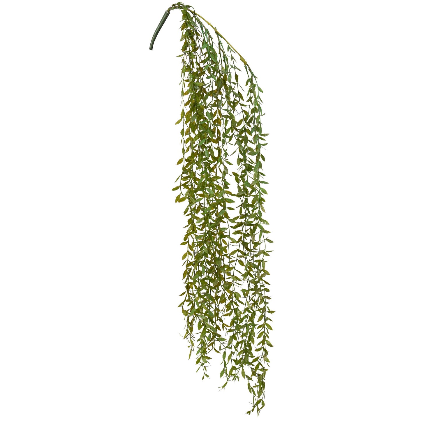 Ruscus Vine Floral Pick