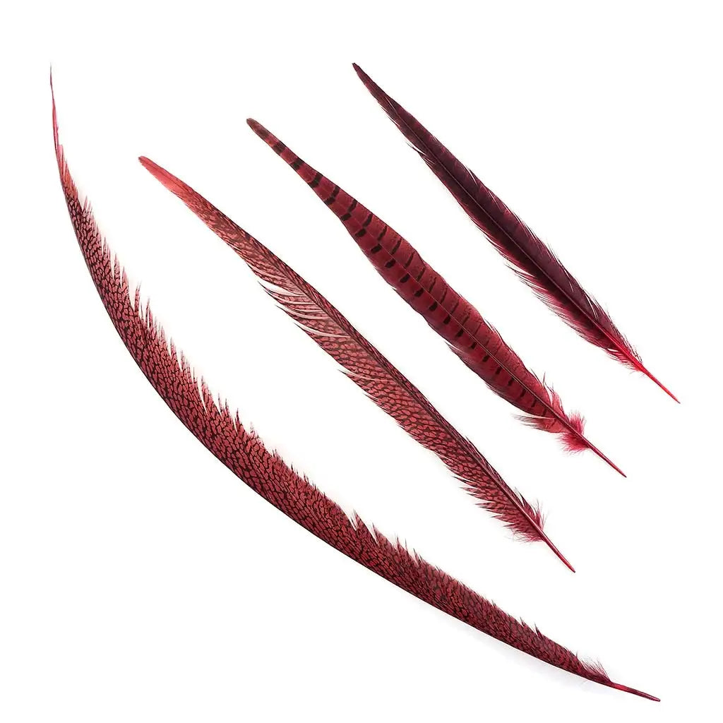 Pheasant Tails Assorted Dyed - Red