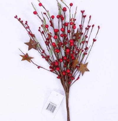 Mixed Berry Pick W/Leaves & Rust Stars, Hw, 13In