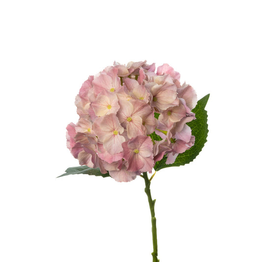 Real Touch Hydrangea - 20 Inch - Dusty Mauve