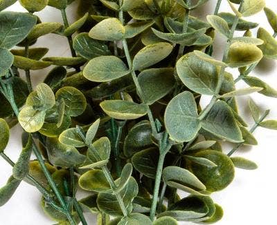 Eucalyptus Bunch, 14 In, Green