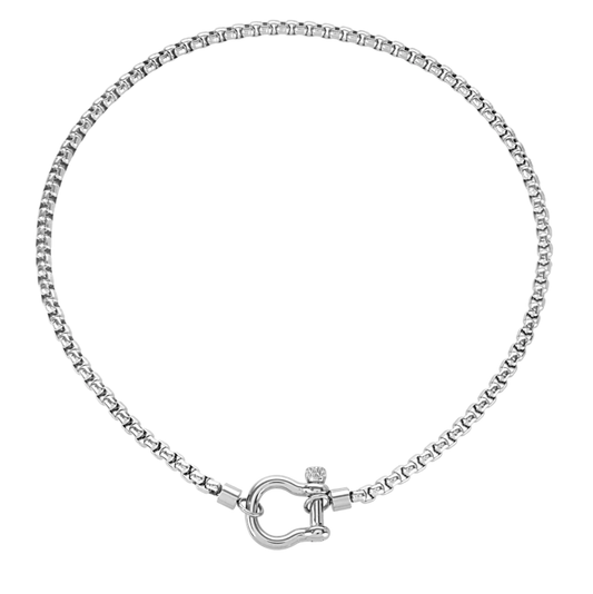 Carabiner horse Bit- Charm-Wheat Chain Stainless Necklace: Silver