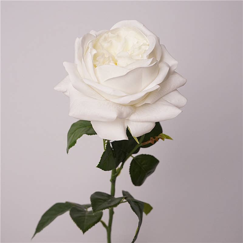 27"-Lux Faux Juliet Rose-Moisturizing Finish-5"Bloom: White Cream