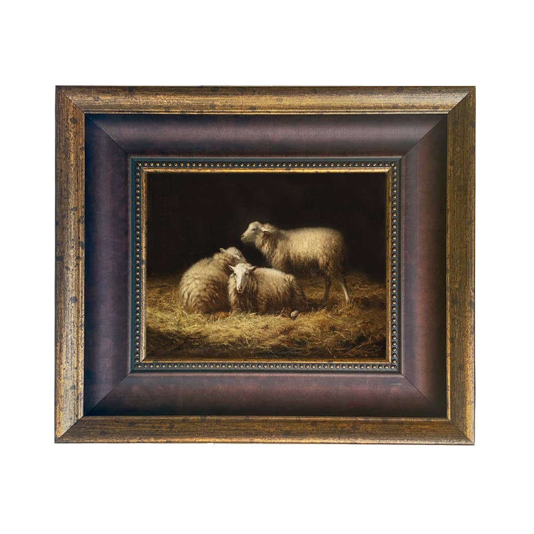 Sheep in the Hay Framed Painting Print on Canvas: Black Distressed / 8" x 10"