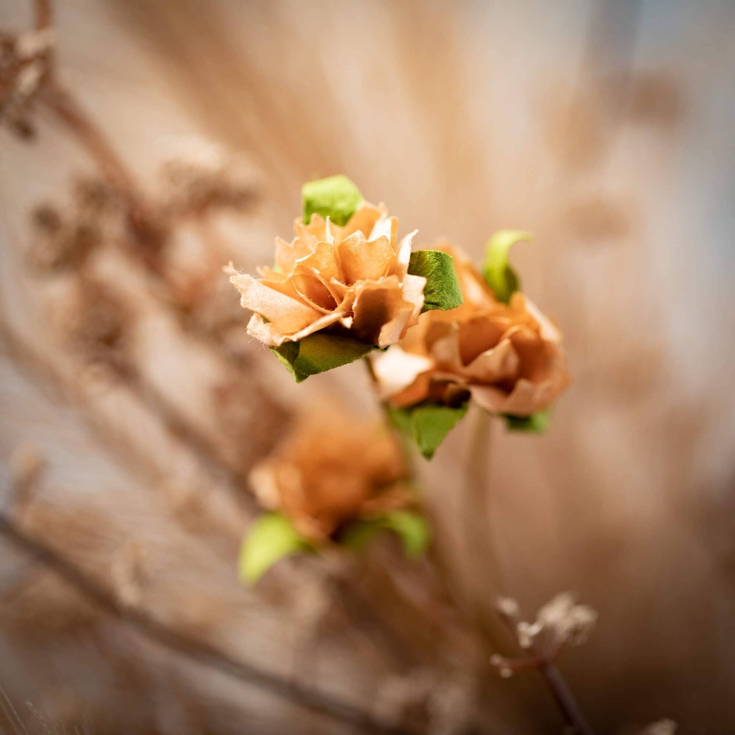 Pampas Grass Berry Orb