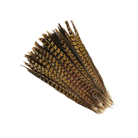 10 PC/PKG Ringneck Pheasant Tails 14-16" - Natural