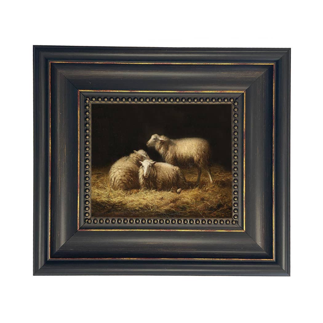 Sheep in the Hay Framed Painting Print on Canvas: Black Distressed / 5" x 6"