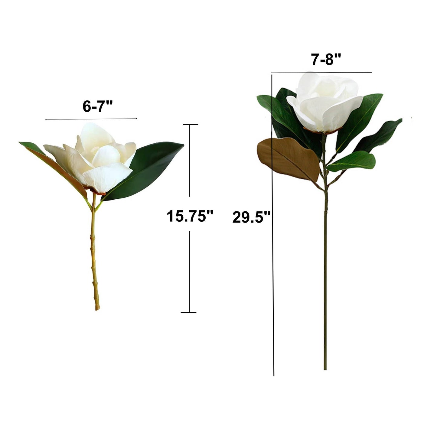 Realistic 6-8"Large bloom Magnolia Flower with Leaves: 15.75"Long