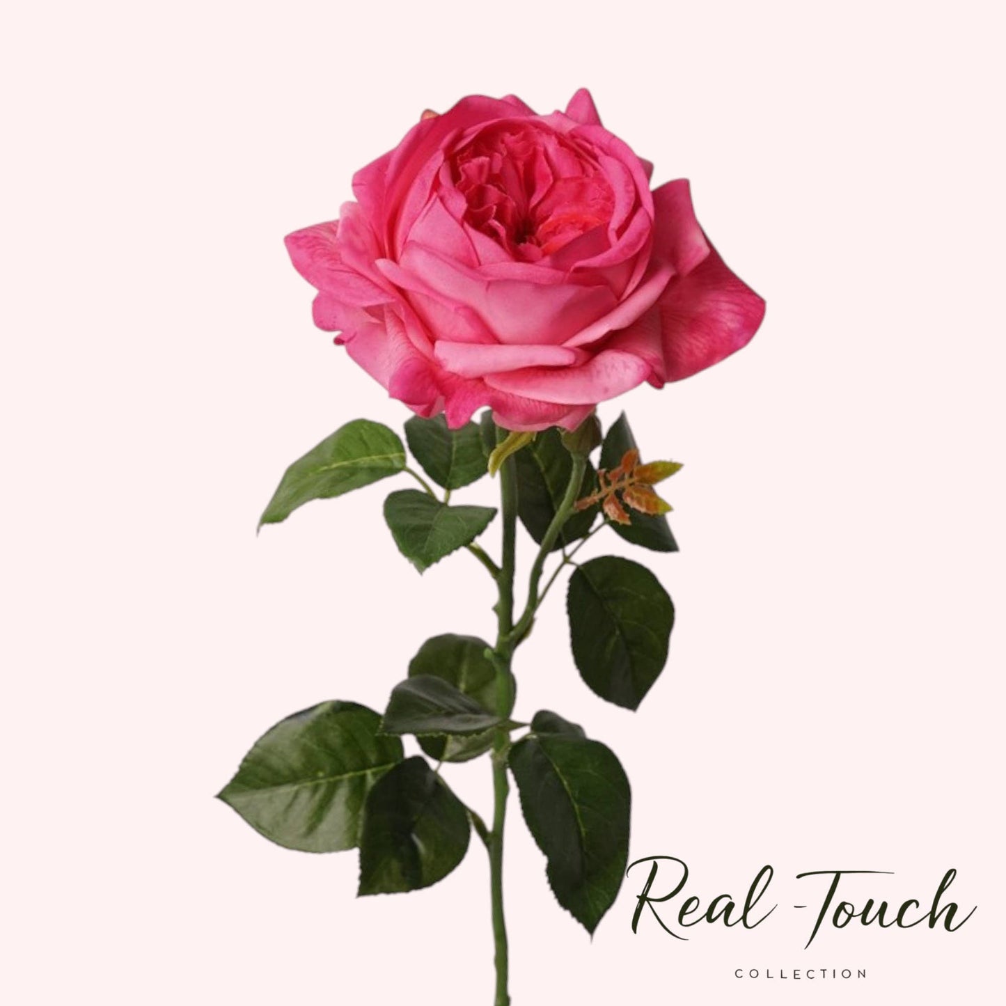 27"-Lux Faux Juliet Rose-Moisturizing Finish-5"Bloom: White Cream