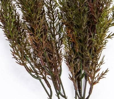 Wild Grass, 14in, Brown, Green