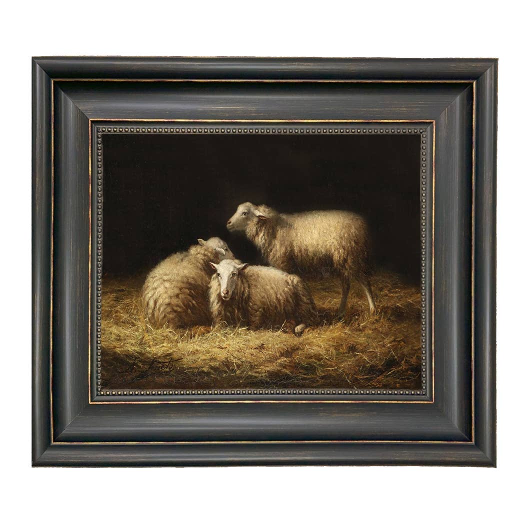 Sheep in the Hay Framed Painting Print on Canvas: Black Distressed / 5" x 6"