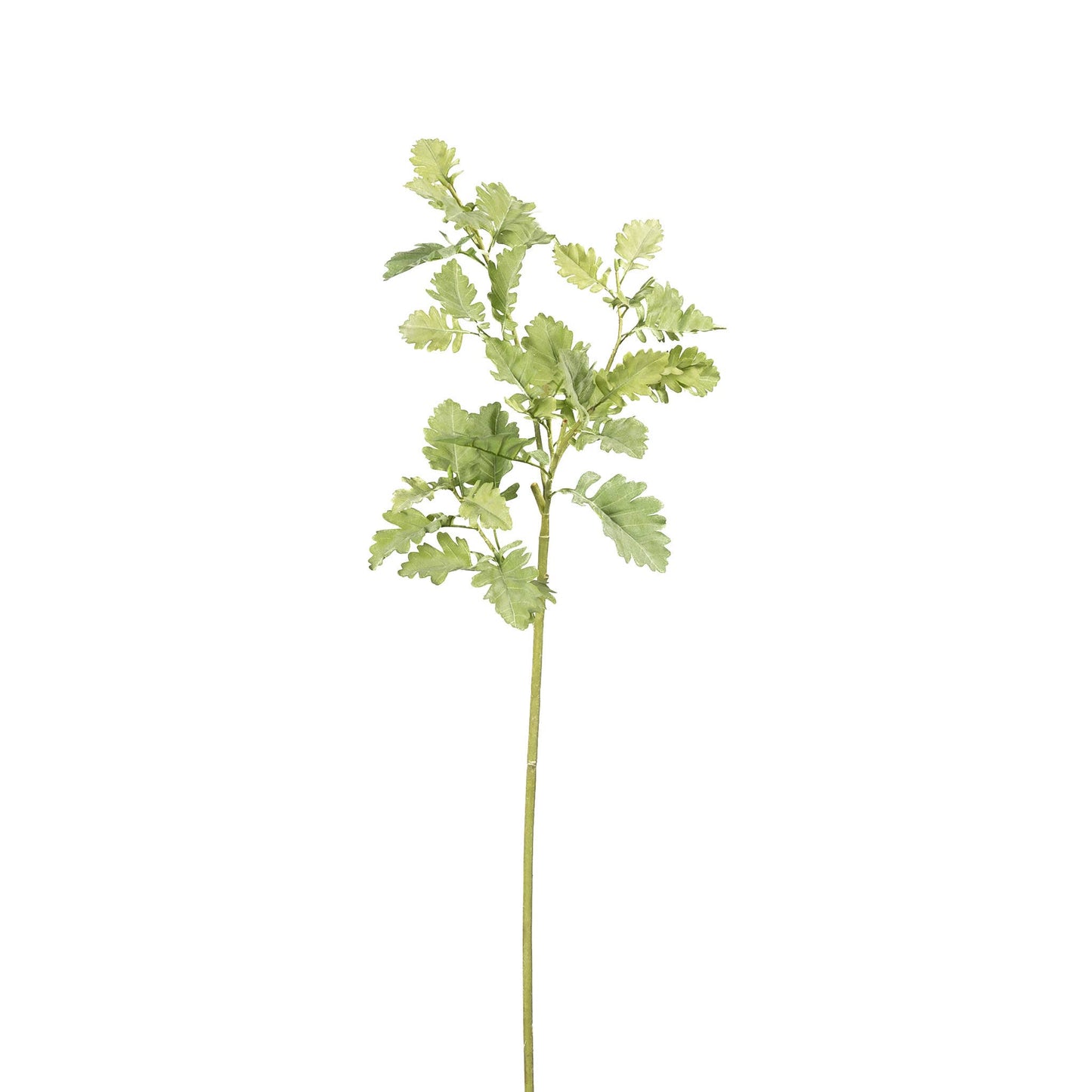 Natural Dusty Miller Branch - 40 Inch