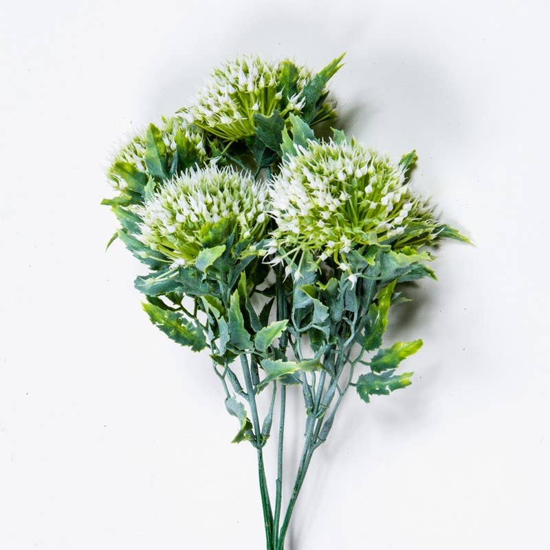 Wild Onion Bunch, 12in, White