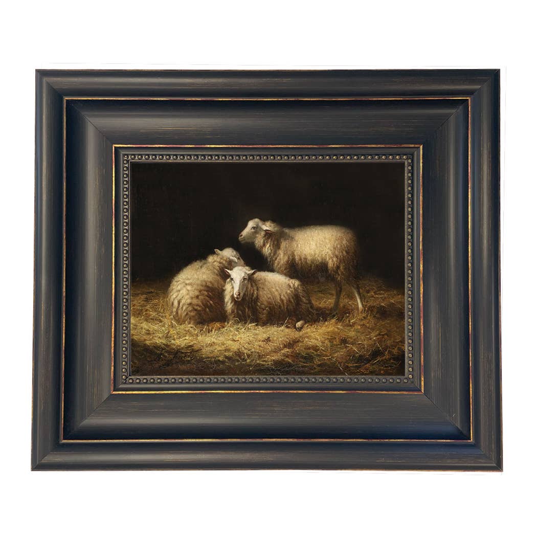 Sheep in the Hay Framed Painting Print on Canvas: Black Distressed / 5" x 6"