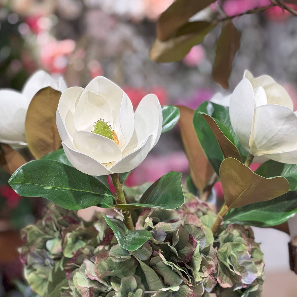 Magnolia Flower Stem - 23 Inch