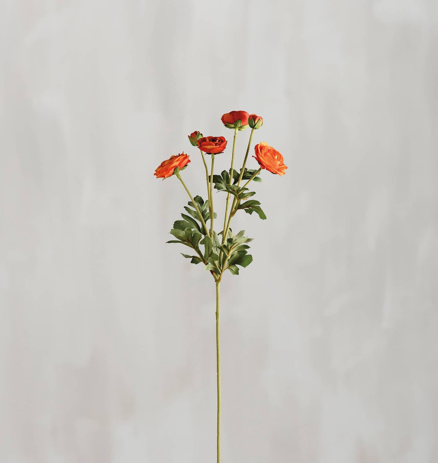 Orange Ranunculus Floral Pick