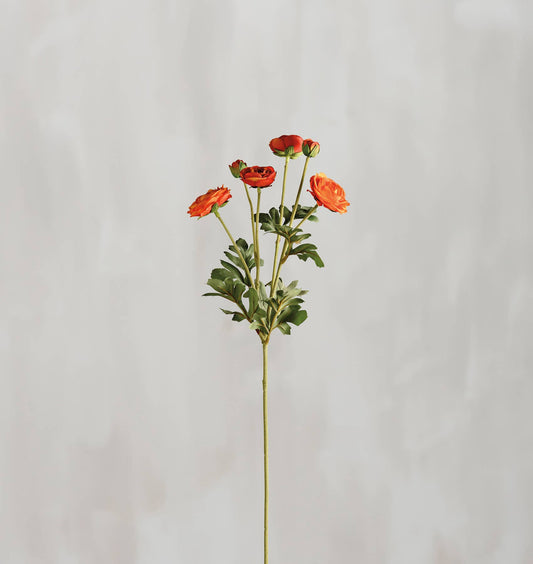 Orange Ranunculus Floral Pick